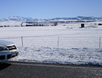 Snow  by the road